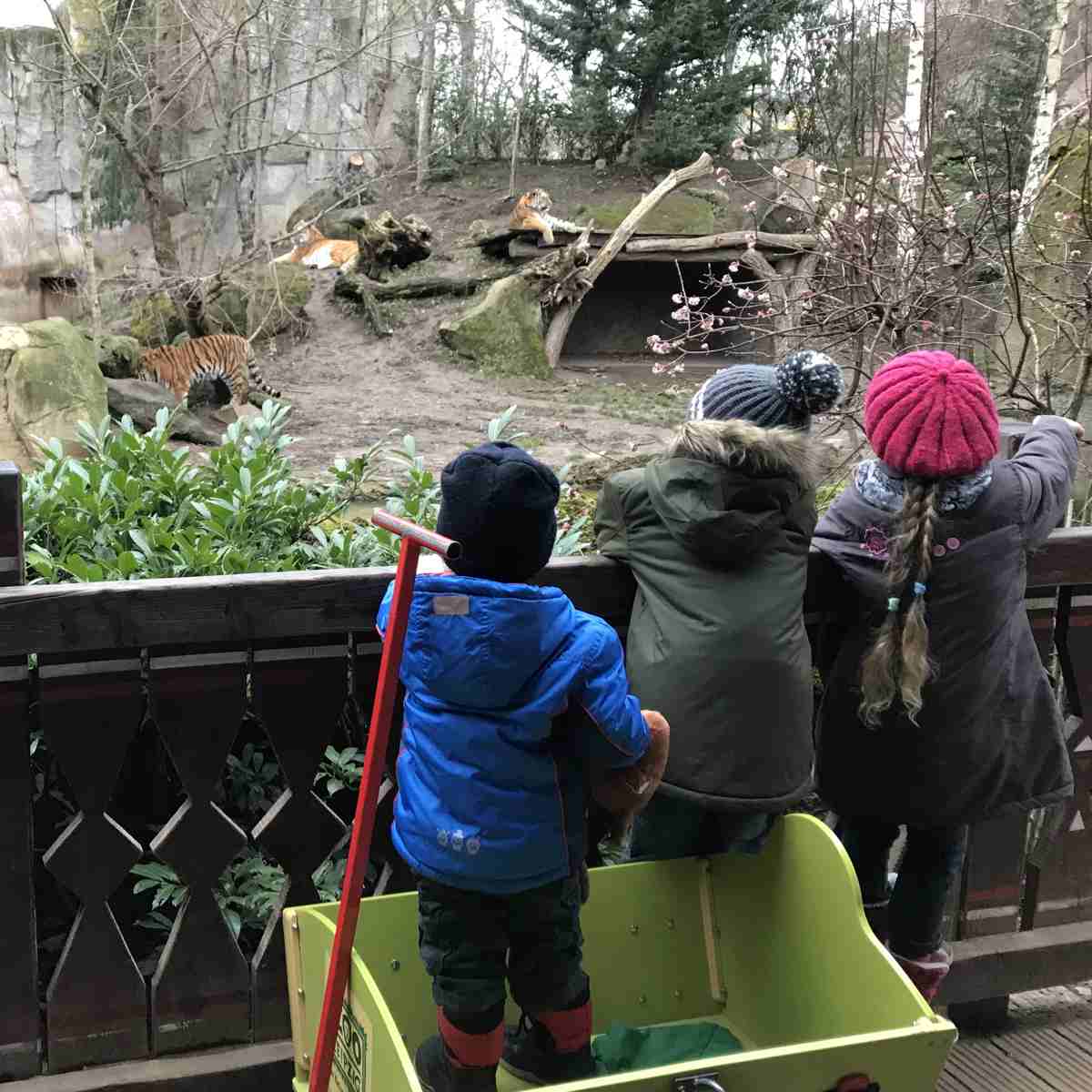 Ausflug mit Kindern in den Zoo Leipzig